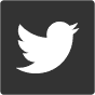 izz.ai bei Twitter